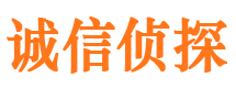 陆丰侦探公司